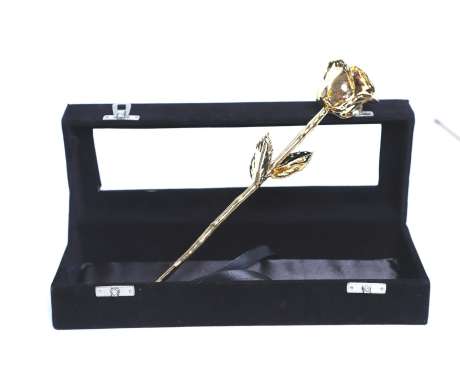 24 Karat Gold Dipped Real Rose 11″ in Black Velvet Box