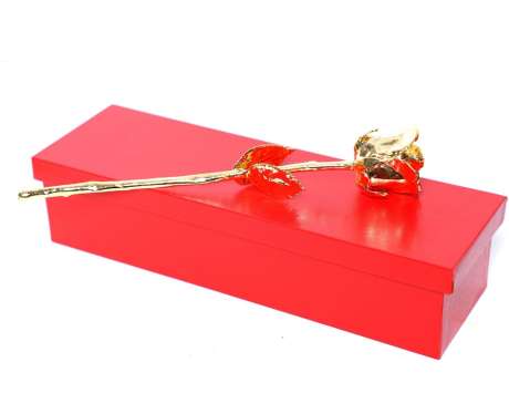 24 Karat Gold Dipped Real Rose 11″ in Red MDF Box