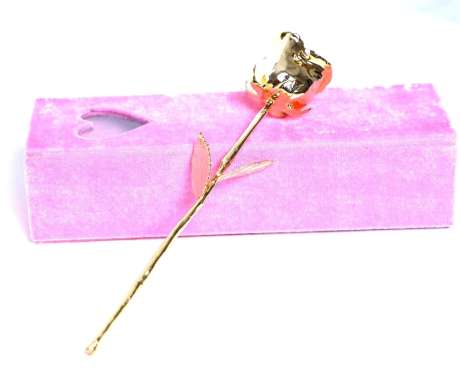 24 Karat Gold Dipped Real Rose 7″ in Baby Pink Velvet Box
