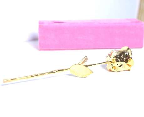 Gold Dipped Real Rose 11.5″ in Premium Baby Pink Velvet Box