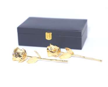Gold Dipped Real Rose 7″ + 7″ With Leather Box