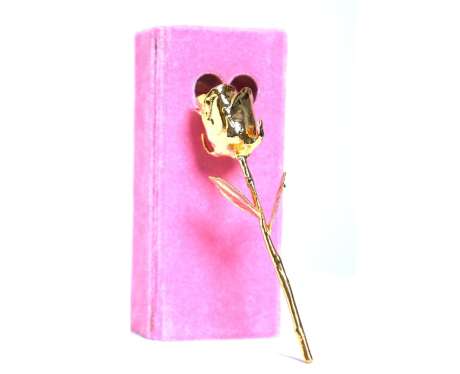 24 Karat Gold Dipped Real Rose 7″ in Baby Pink Velvet Box